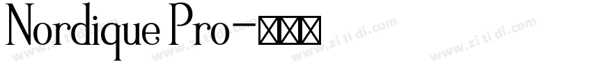 Nordique Pro字体转换